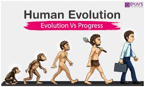 evolution theory of evolution natural selection evidence