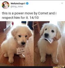 Pin By Tiffany Turner On All You Need Is Love 3 In 2020 Dog Thoughts Dog Rates We Rate Dogs