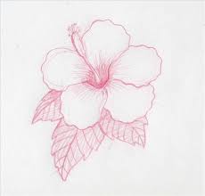 How To Draw Hawaiian Flowers How To Draw Hawaiian Flowers Step By Step Ehow Hawaiian Flower Drawing Flower Sketches Flower Drawing