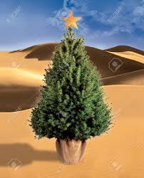 Im still alive art dump. Illustration Of A Christmas Tree In The Desert Stock Photo Picture And Royalty Free Image Image 12796983