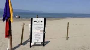 Homem morre após ataque de crocodilo em praia do México