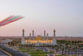 صور استعراض الصقور الخضراء في مهرجان الورود بـ تبوك شبكة ابو نواف