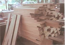Tembesu Kayu Tembesu