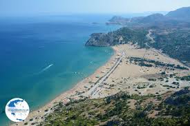 Image result for Thamnosma rhodesica