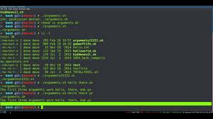 How to create and use bash scripts? Bash Scripting 5 Arguments Youtube