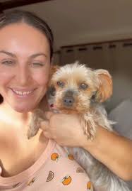 Crumb: La elección perfecta para la seguridad de tu perro