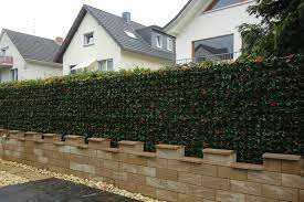 kunstliche hecke photinia wetterfeste photinia kunsthecke von bella planta regen frostbestandig sichtschutz garten individuelle hecke gartenbau wetter