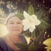 Avon Park Obituaries