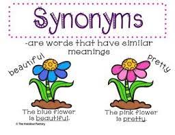 We did not find results for: Synonym Poster And Interactive Booklet Synonym Posters Booklet Synonym