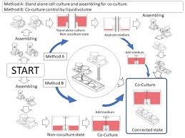 Iccp members sign a professional code of conduct that provides an. How To Use Iccp Horizontal Co Culture Plate