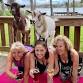 Goat Yoga Tampa lakeside @ In the Loop Brewing in event image