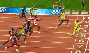 I'm volunteering in a bear refuge in croatia and i thought like sharing this photo of a chillaxing lad with you guys. (via). Social Media Ablaze With David Marshall Memes After Euro 2020 Match With Czech Republic And Scotland Nigerian News Headlines