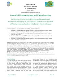 Image result for Ritchiea capparoides