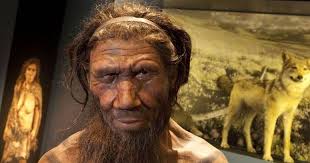 Apa yang Disebut Neanderthal dan Cro-Magnon?