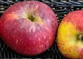 Your Guide To The Best Apples For Baking And Cooking Best Apples For Baking Baked Apples Apple