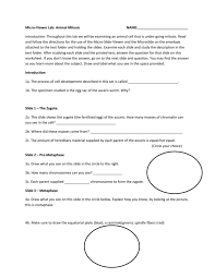 Maybe you would like to learn more about one of these? Micro Viewer Lab Animal Mitosis Name Introduction Throughout