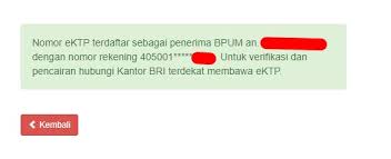 Harap ingat, surat keterangan usaha ini hanya berlaku satu tahun sejak tanggal. Contoh Formulir Bantuan Bpum Atau Blt Umkm 2 4 Juta Contoh Surat