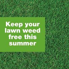 Here are the facts and trivia that people are buzzing about. Keep Your Lawn Weed Free This Summer Trugreen Professional Lawn Care