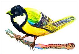 Image result for Kohlmeise vogelhouse