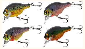 Bagley Small Fry Bream 4pk Assortment Fishing Lure Color