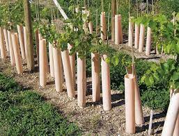 Check spelling or type a new query. Grow Tubes Faqs Mdtgrow Com