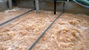 Pros And Cons Of A Moving Bed Bioreactor Genesis Water Technologies