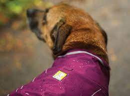 Sun Shower Dog Raincoat Keep Your Dog Dry Ruffwear Dog Raincoat Ruffwear Waterproof Dog Coats