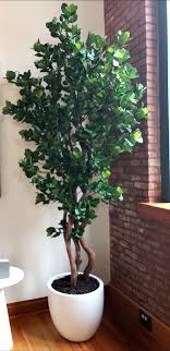 Sunm boutique artificial ficus branches leaf spray, faux silky ficus tree twig, banyan branches real touch leaves ficus microcarpa for home, wedding, office, banquet decor, 31'', 3pcs. Artificial Trees And Silk Ficus Silk Trees