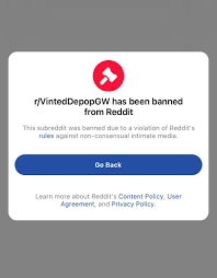WE WON : rDepop