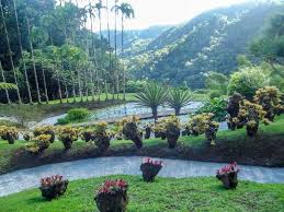 Les Jardins De Balata Jardins Balata Flore Exclusivevillas Martinique Caraibes Martinique Caraibes Ile De Reve