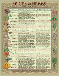 healing herbs spices kitchen chart spices herbs