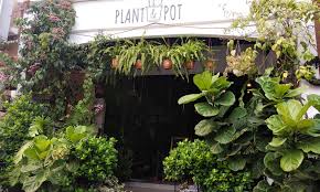 Photo, information, location with map and reviews. Sipping Corner Puchong A Hidden Cafe With Lots Of Greens Thefoodbunny