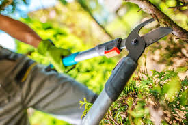 We offer our customers over 30 years of experience in providing landscape solutions for residential and commercial clients throughout our area. Gardener Essex Gardening Service Essex Local Landscapes