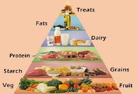 Food Chart For Diabetes During Pregnancy Diet Chart For