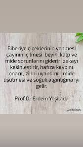 Kedi Usutmesi