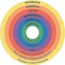 Communicative Competence The Ability To Use Language Accurately Appropriately And Flexibly 3 Domain Speech Language Therapy Speech And Language Linguistics