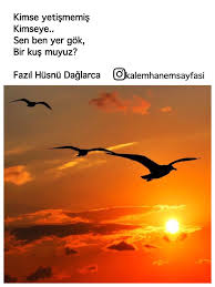 Kimse Yetismemis Kimseye Sen Ben Yer Gok Bir Kus Muyuz Fazil Husnu Daglarca Kus Siir
