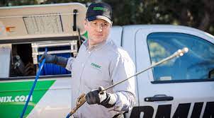 Most importantly they got rid of my bed bugs. Maryville Tn Pest Termite Control Bruce Terminix