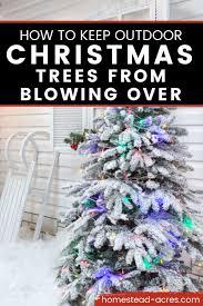Discover (and save!) your own pins on pinterest How To Keep Outdoor Christmas Trees From Blowing Over Homestead Acres
