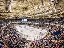 نتیجه جستجوی لغت [arenas] در گوگل