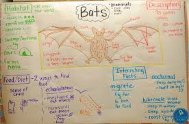 2 Literacy Teachers Pictorial Input Charts You Should Use