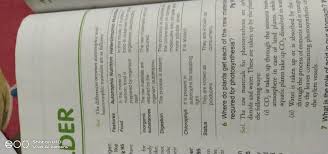 Heterotrophs are also called consumers as they consume food prepared by autotrophs. Difference Between Autotrophic Mode Of Nutrition And Heterotrophic Mode Of Nutrition Class 10th Brainly In