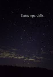 The protecting mother camels (arabic al'awa'id العوائذ) is the name given by ancient arabic nomadic tribes to an asterism in the constellation of draco. Camelopardalis Wikipedia