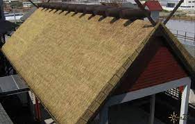 How to thatch a roof in kentucky? 5 Popular Faqs About Thatch Understanding The Differences Amazulu