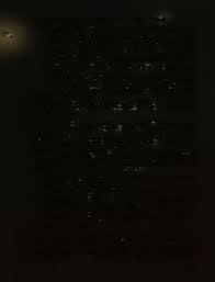 THE NICKERSON FAMILY IB cvXV0'