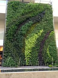 Gallery Of Living Walls Vertical Garden Urban Garden Vertical Green Wall