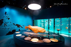 Lee Kong Chian Natural History Museum Lkcnhm Weird Wonderful World Museum Exhibition Design Interactive Museum Design Museum