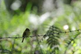 Places Footloose Adventure