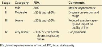 Image result for COPD Staging