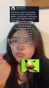 Jesus Barrera Cat Noir